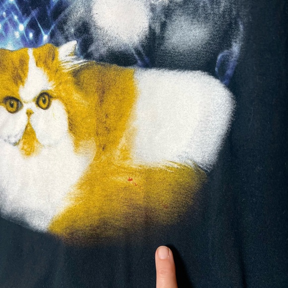 Persian smooshed face big eye cats graphic T-shirt - Picture 5 of 6
